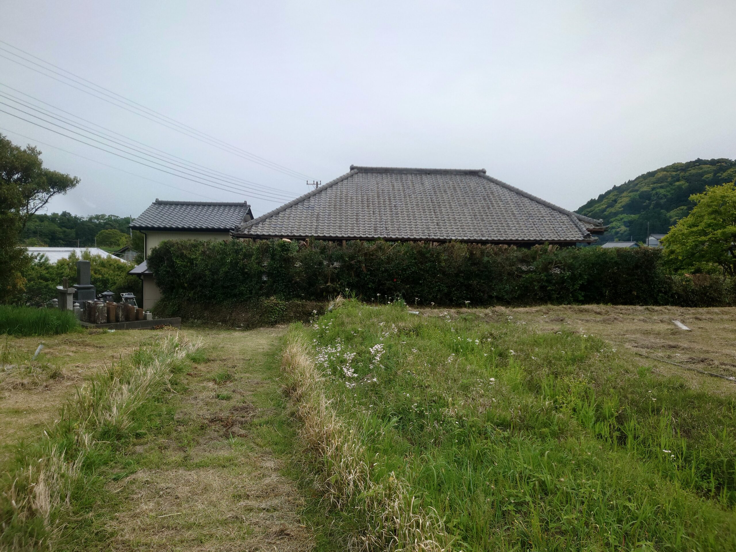 南房総市　伐採剪定作業