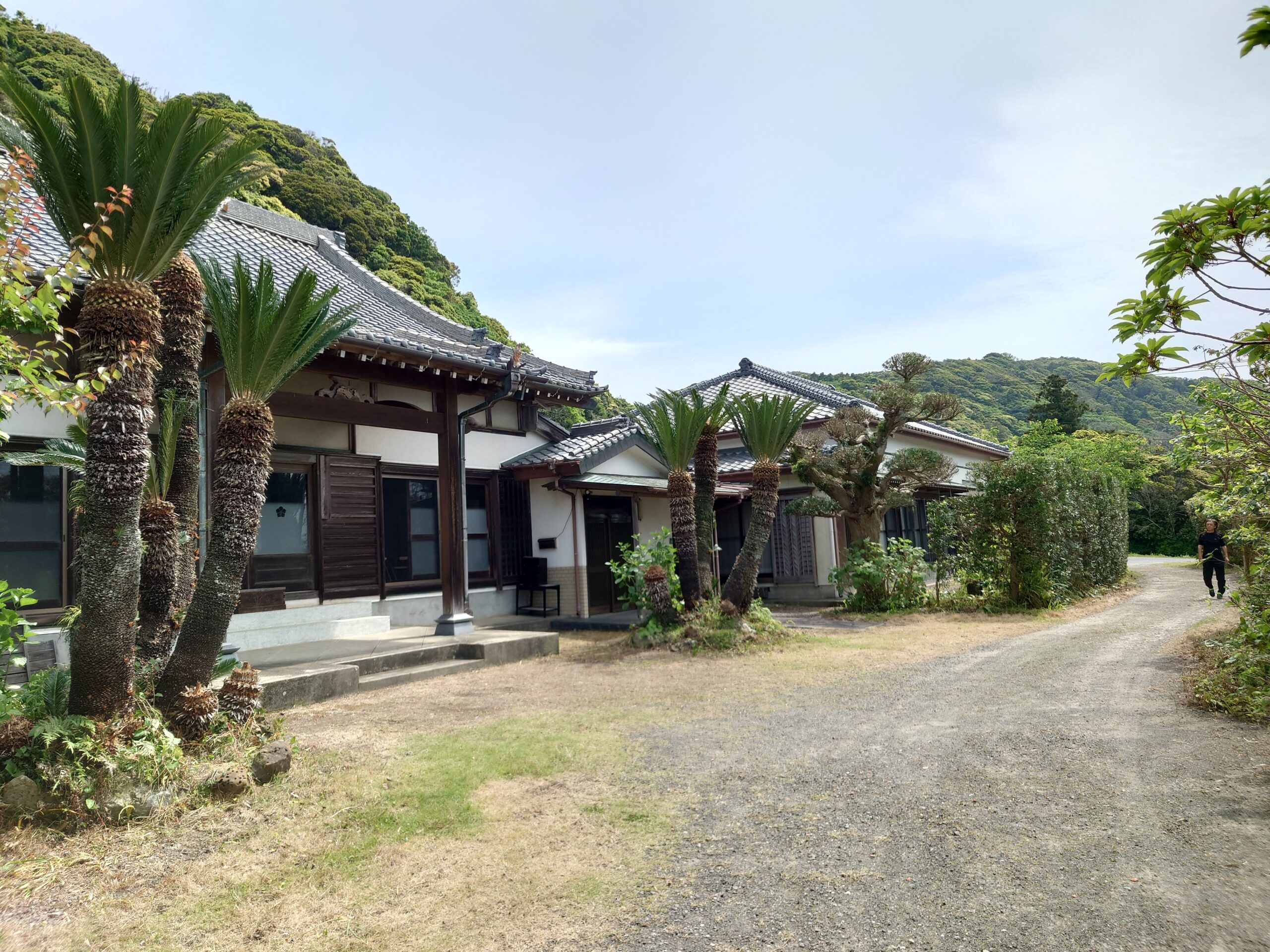 鴨川市　伐採剪定作業