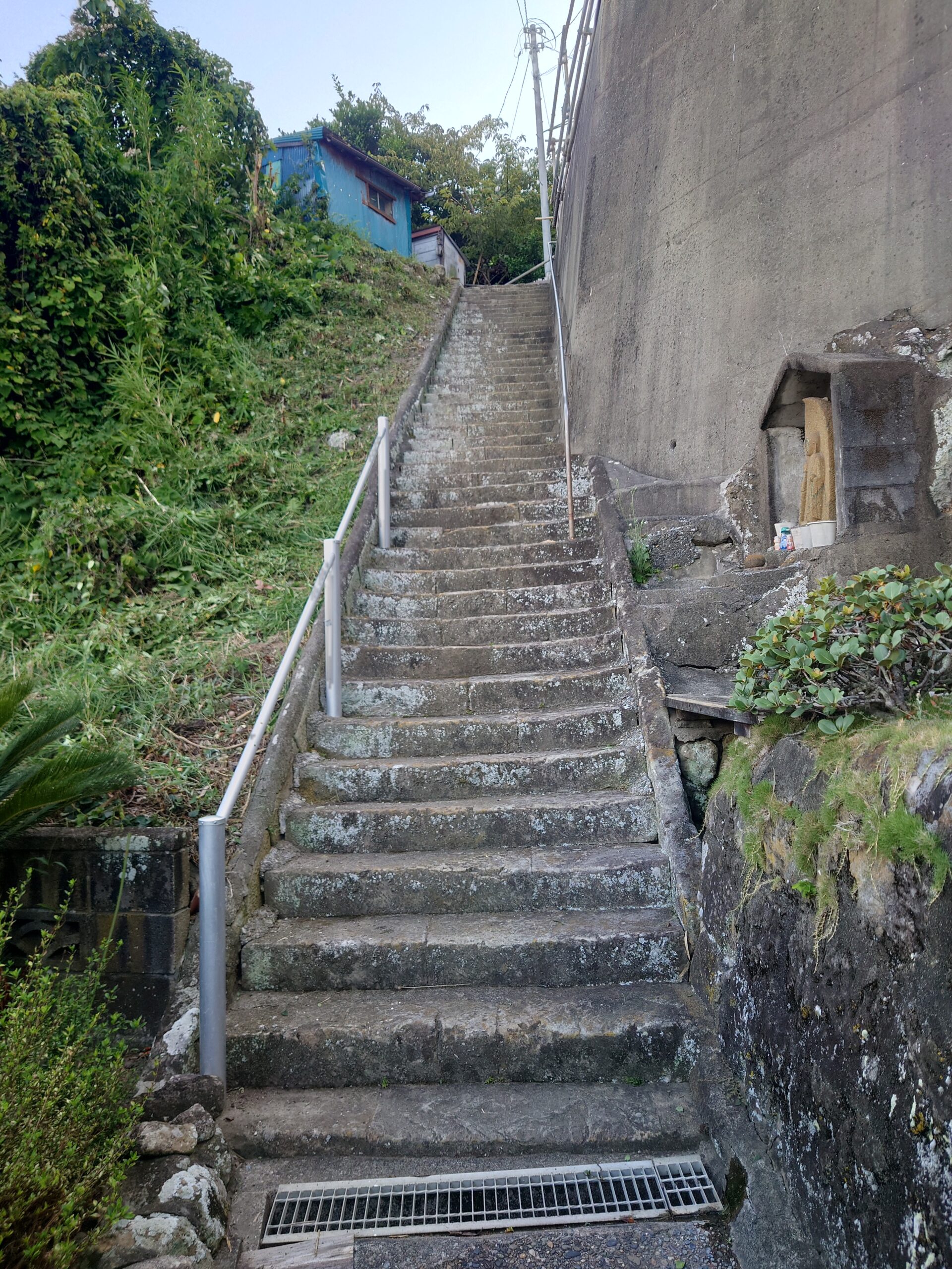 鴨川市　草刈り作業
