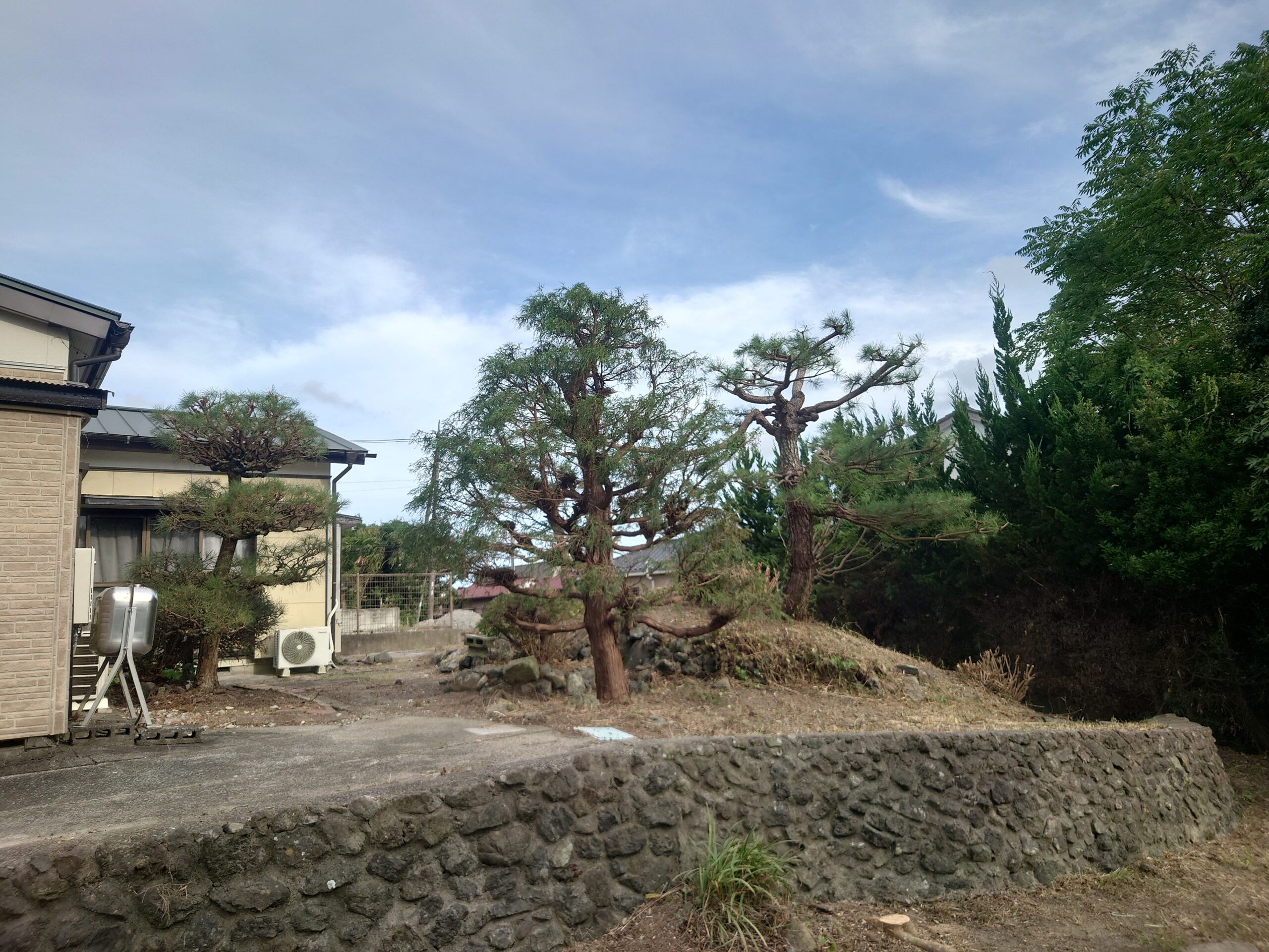 鴨川市　伐採剪定作業