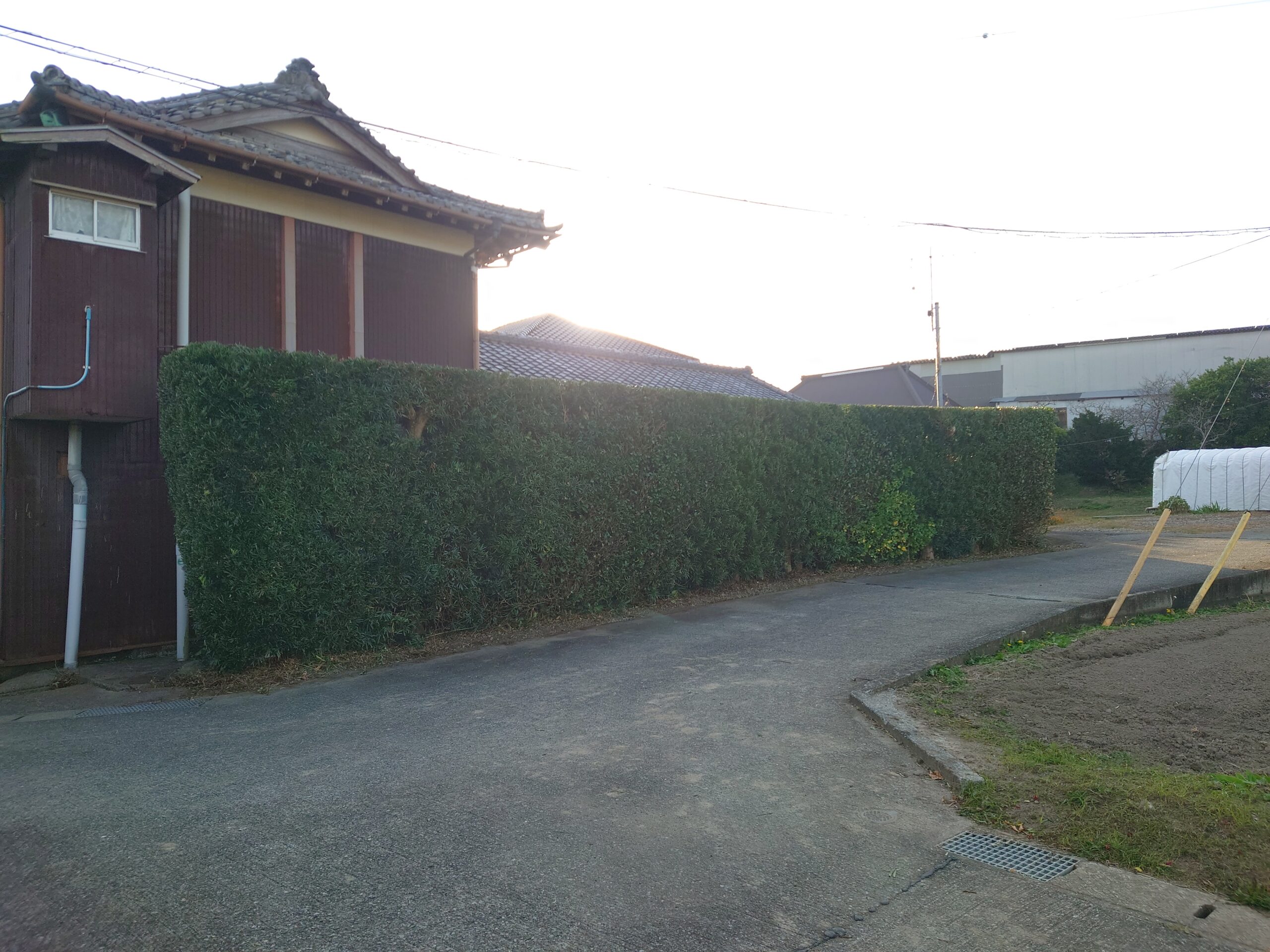 南房総市　剪定作業
