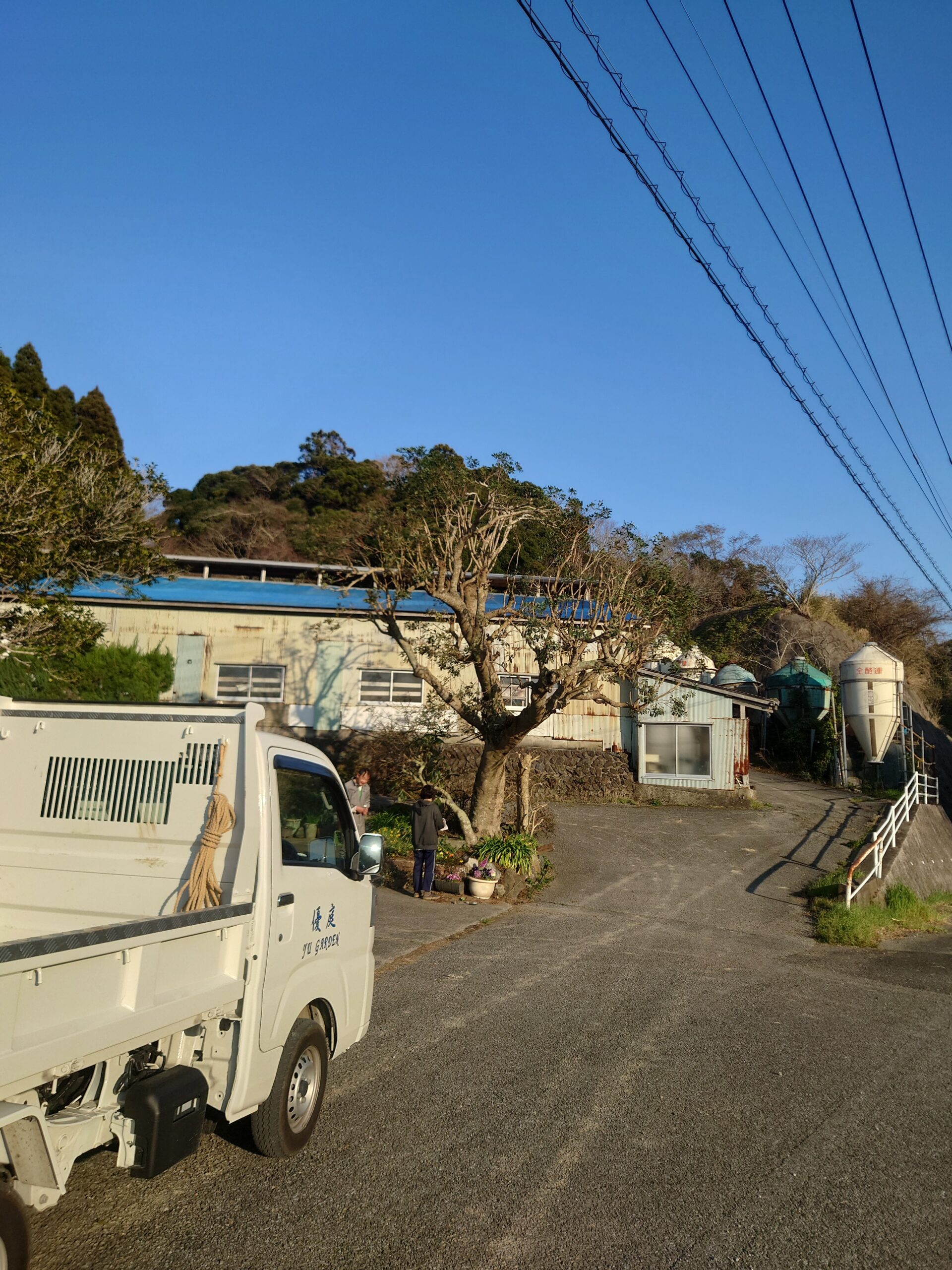鴨川市　伐採剪定作業