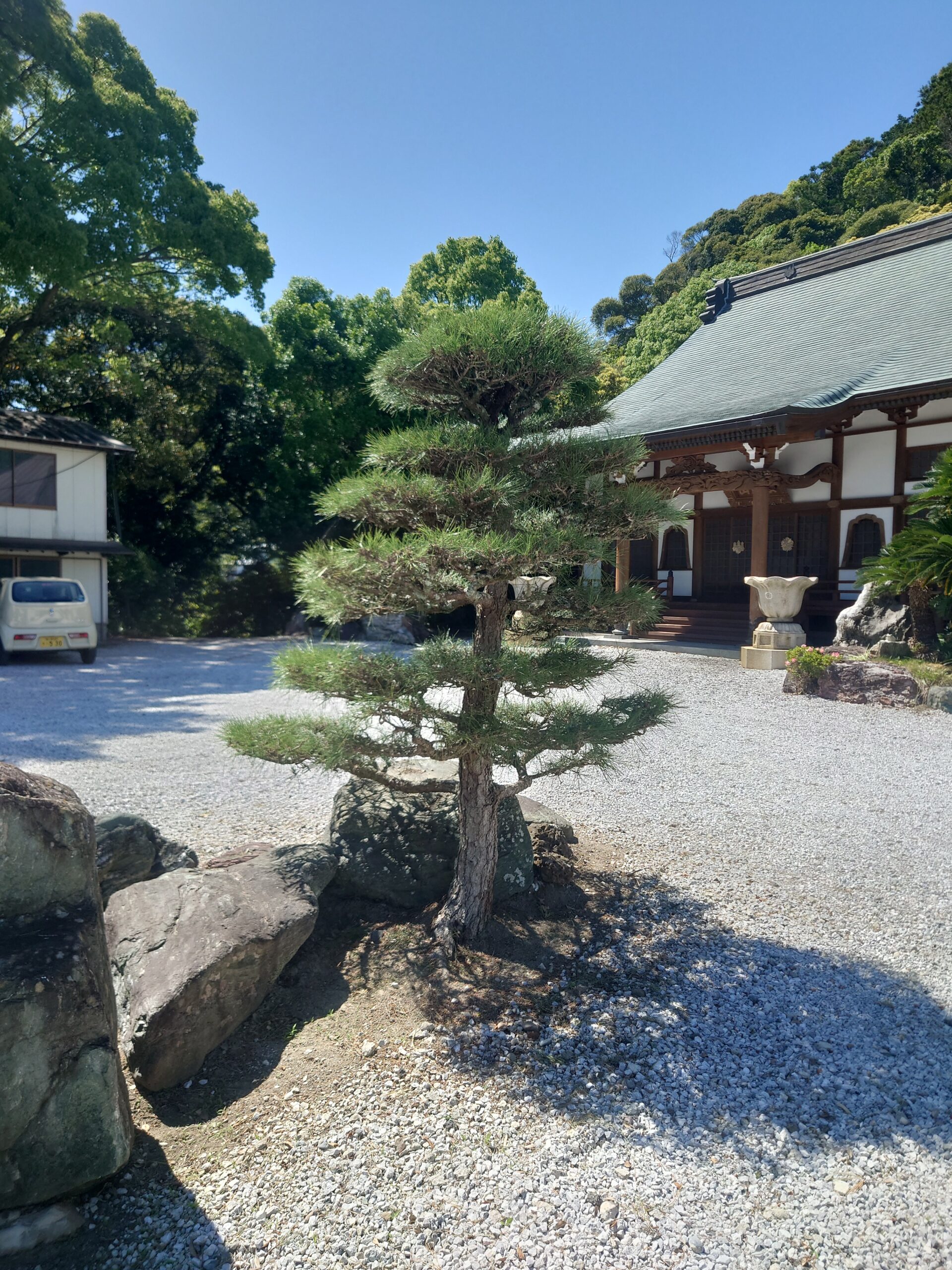 鴨川市　剪定作業