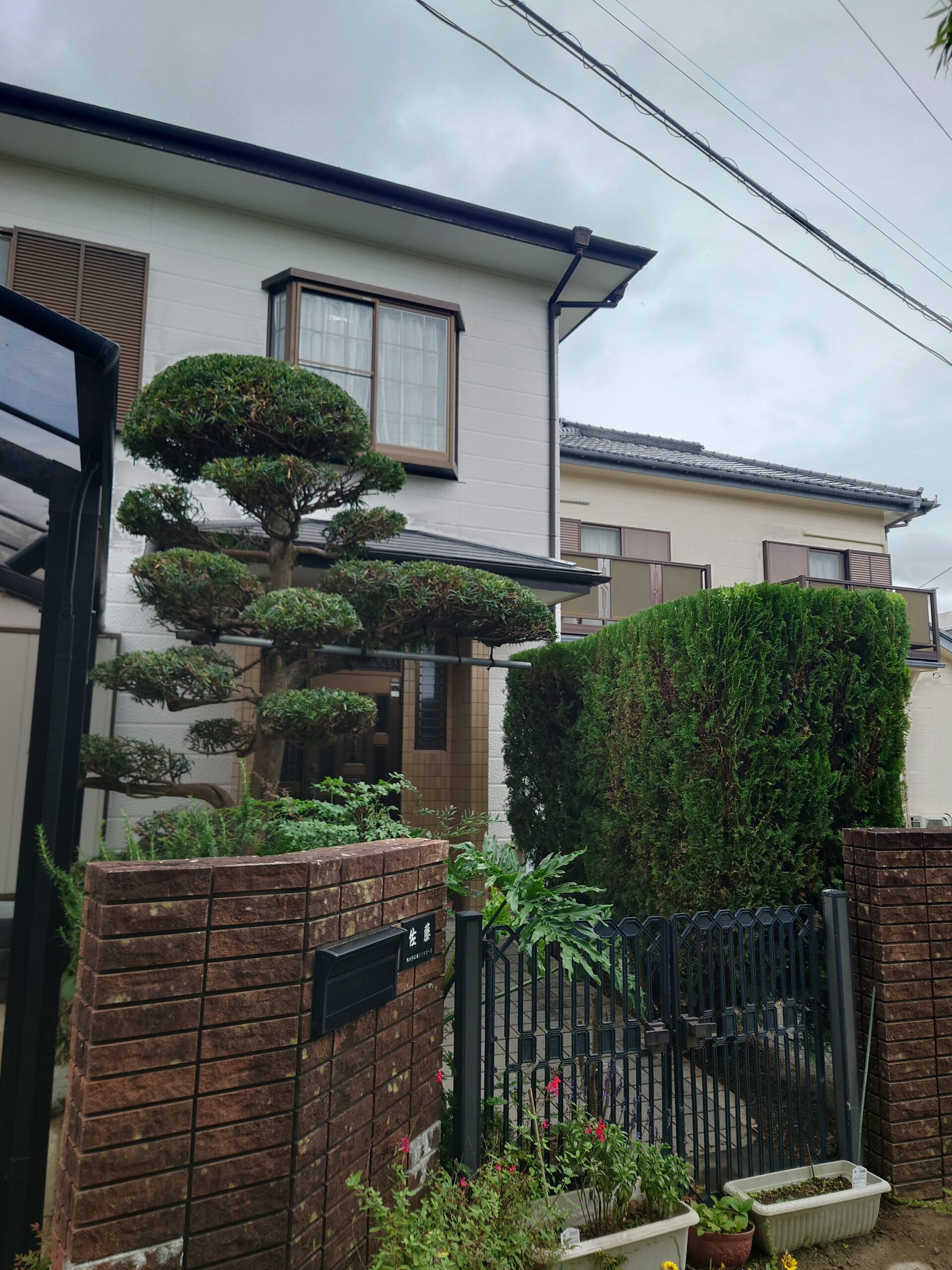 鴨川市　剪定作業